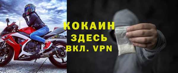 МДПВ Алзамай