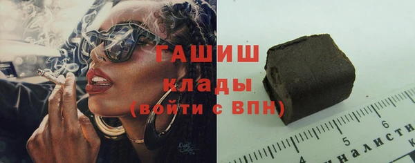 гашик Алексин