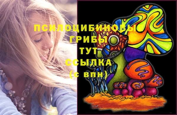 гашик Алексин