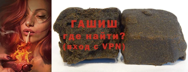 гашик Алексин