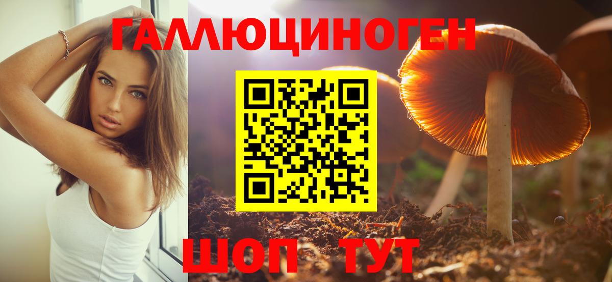 Тобольск  Галлюциногенные грибы Magic Shrooms  Вход с VPN 